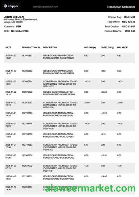 Nigeria Chipper transaction statement Word and PDF template